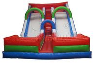 Double Lane Large Inflatable Slide Customized Size For Adults / Children supplier