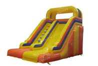 Children / Adult Blow Up Slide , Commercial Grade Giant Inflatable Slide supplier