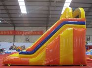 Children / Adult Blow Up Slide , Commercial Grade Giant Inflatable Slide supplier