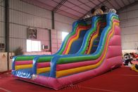 Mickey Theme Commercial Inflatable Slide , 0.9mm PVC Big Blow Up Slide supplier
