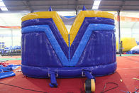 Large Commercial Inflatable Bounce House With Double Slide Water Resistant supplier