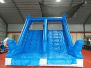 Customized Inflatable Dolphin Water Slide WSS-248 With Air Blower 10x5x5.5m supplier
