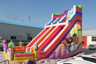Waterproof Large Inflatable Slide Colorful Aladdin Inflatable Double Lane Slide supplier