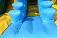 Durable Huge Inflatable Slide King Crocodile Dual Slide Eco - Friendly Wss-259 supplier