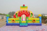 Big Inflatable Water Slides For Adults WSS-009 Customized Size Accepted supplier