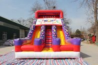 Customized Size Commercial Inflatable Water Slides For Kids And Adults supplier