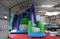 Giant Commercial Inflatable Water Slides For Amusement Park / Playground supplier