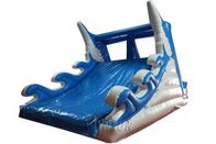Customized Inflatable Dolphin Water Slide WSS-248 With Air Blower 10x5x5.5m supplier