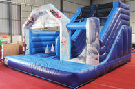Waterproof Frozen Bouncy Castle With Slide Indoor Playground Eco - Friendly supplier