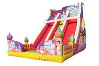 Waterproof Large Inflatable Slide Colorful Aladdin Inflatable Double Lane Slide supplier