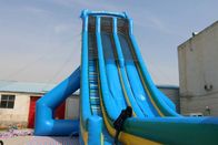 Blue Dolphin large water slide WSS-277/0.55mm PVC Material For Adults supplier